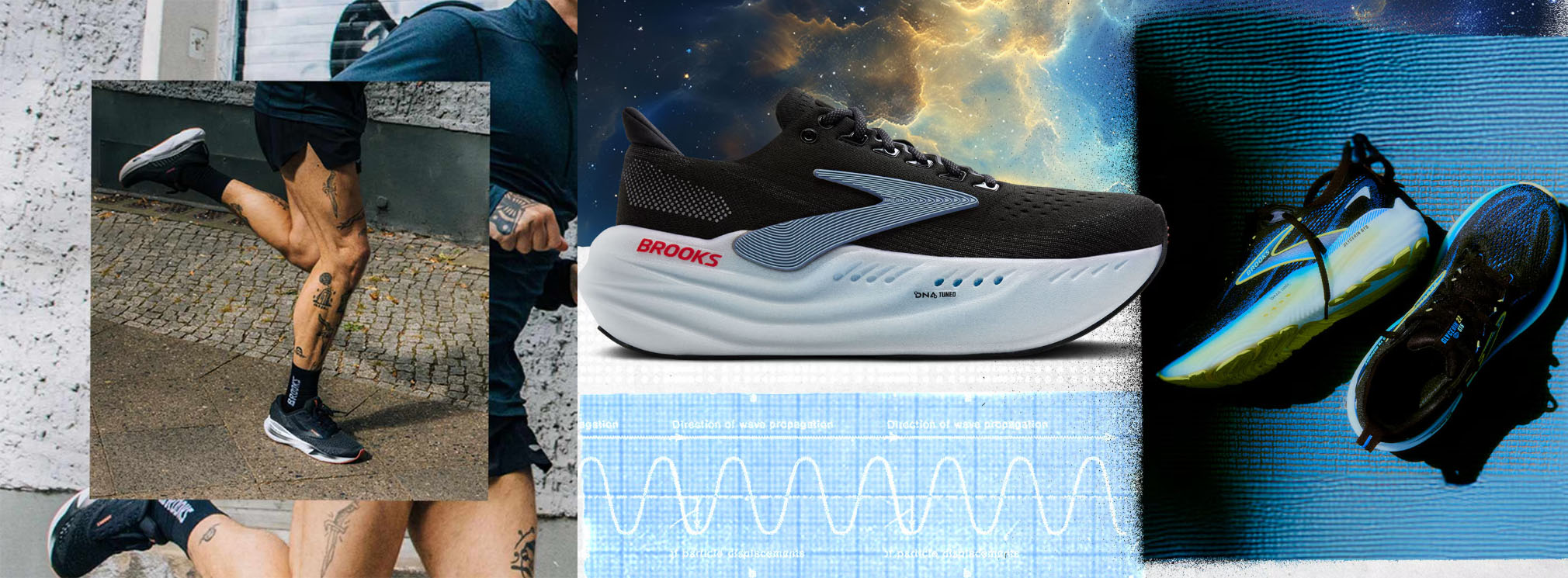 Shoe Specialty Shop -Shoe Specialty Shop FGFH